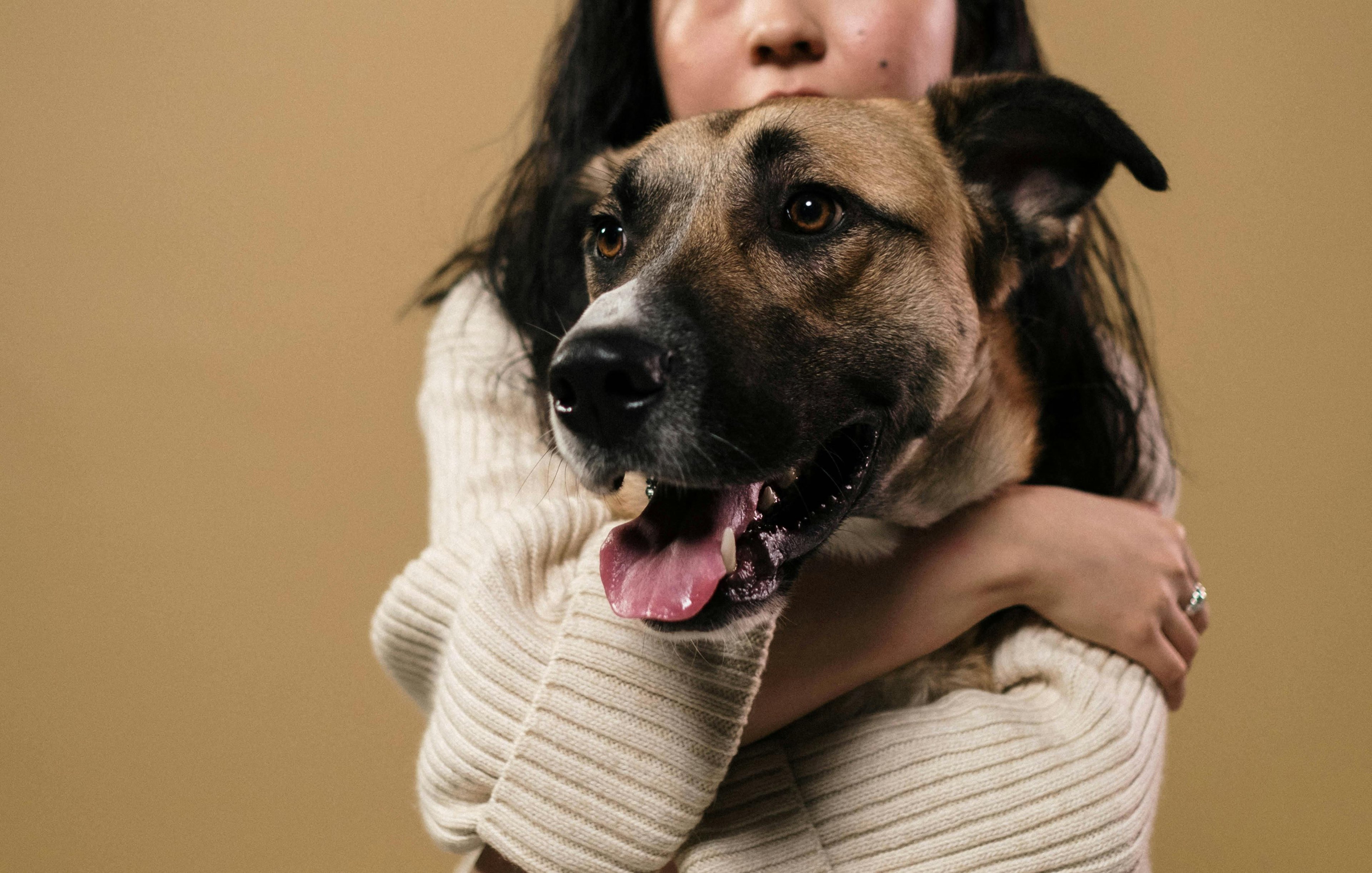 une femme qui câline un malinois