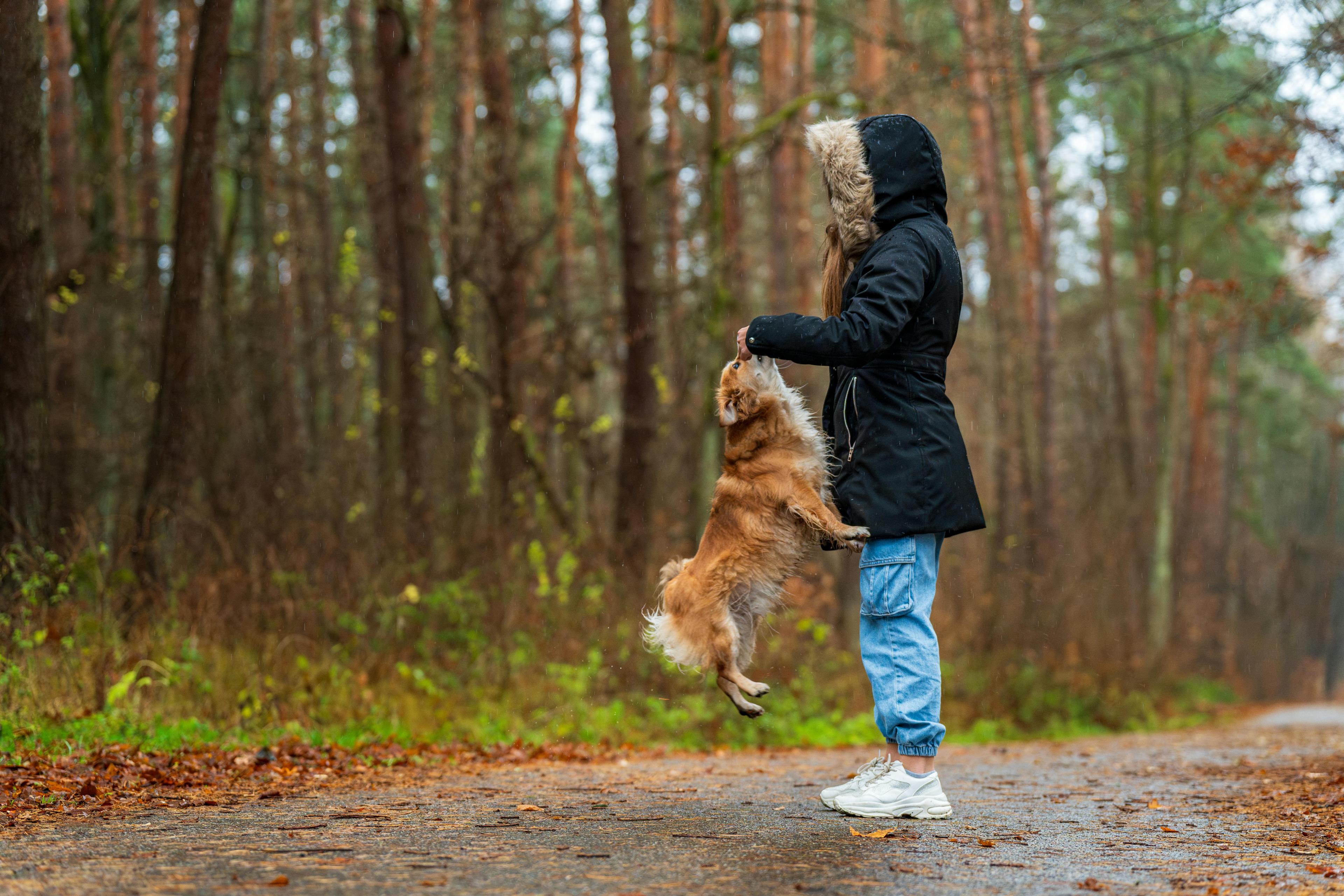 un chien qui saute sur son maître, au milieu de la forêt